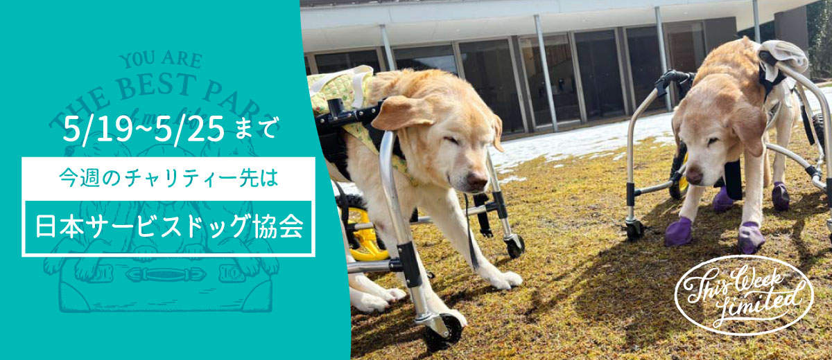 MV画像