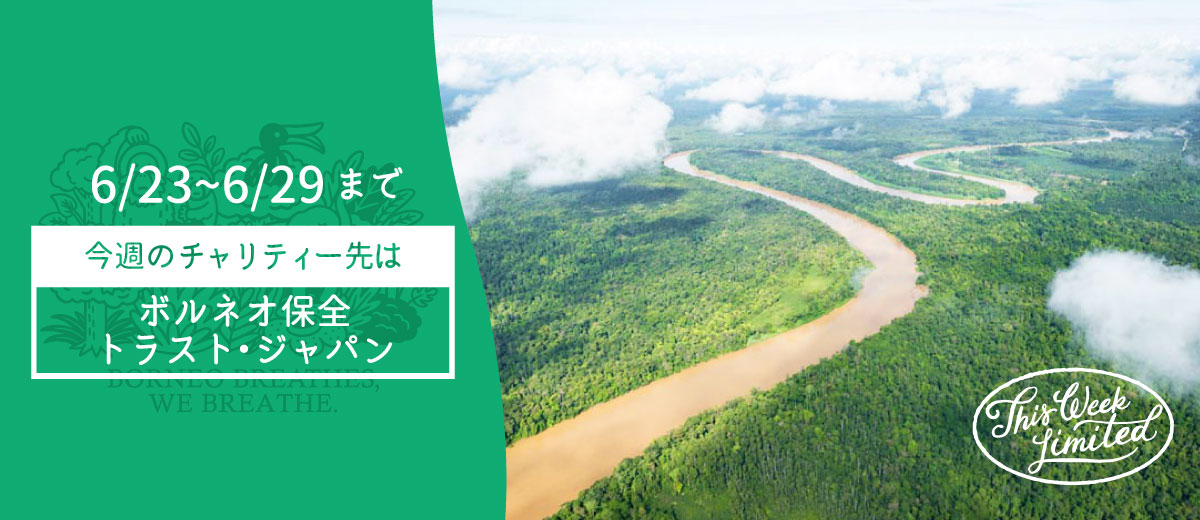 MV画像