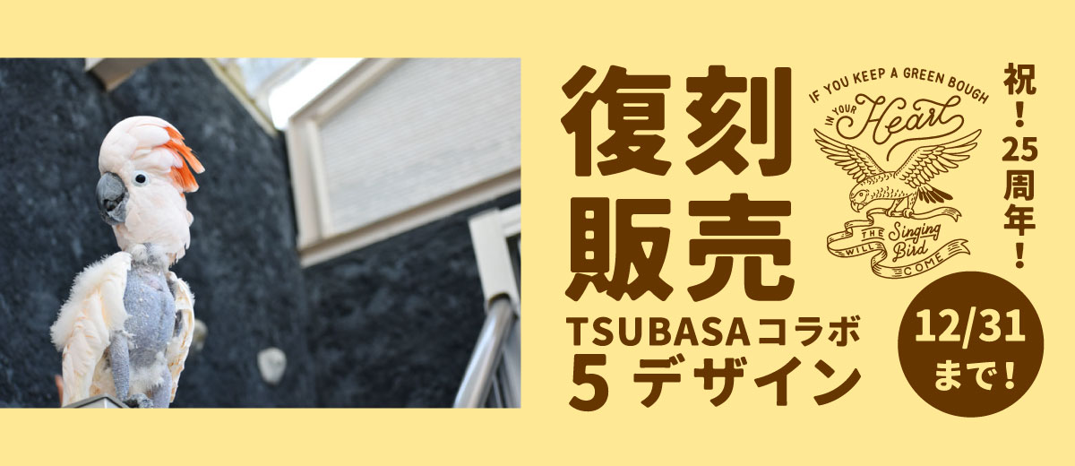 MV画像