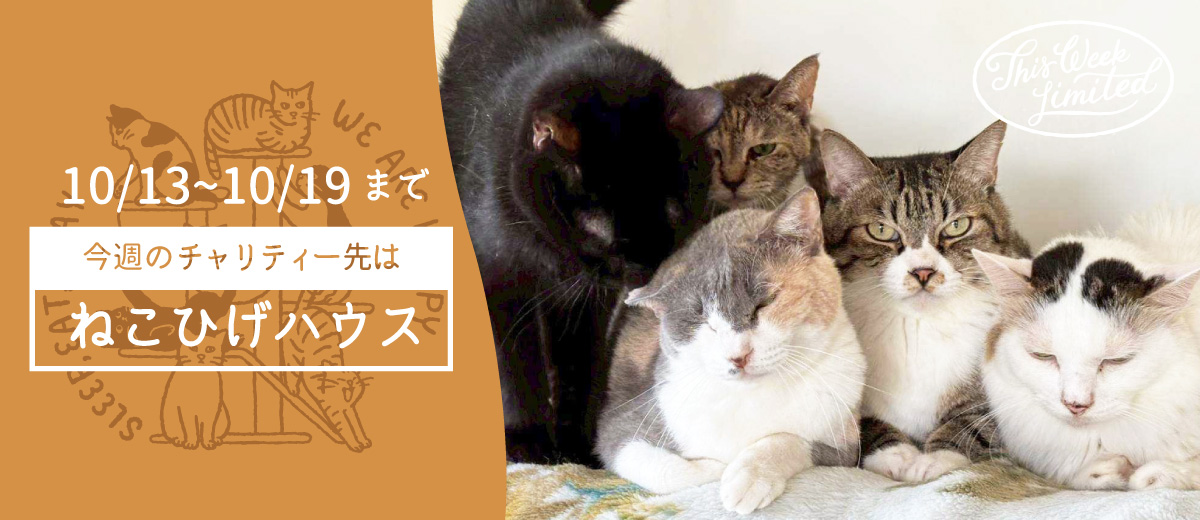 MV画像